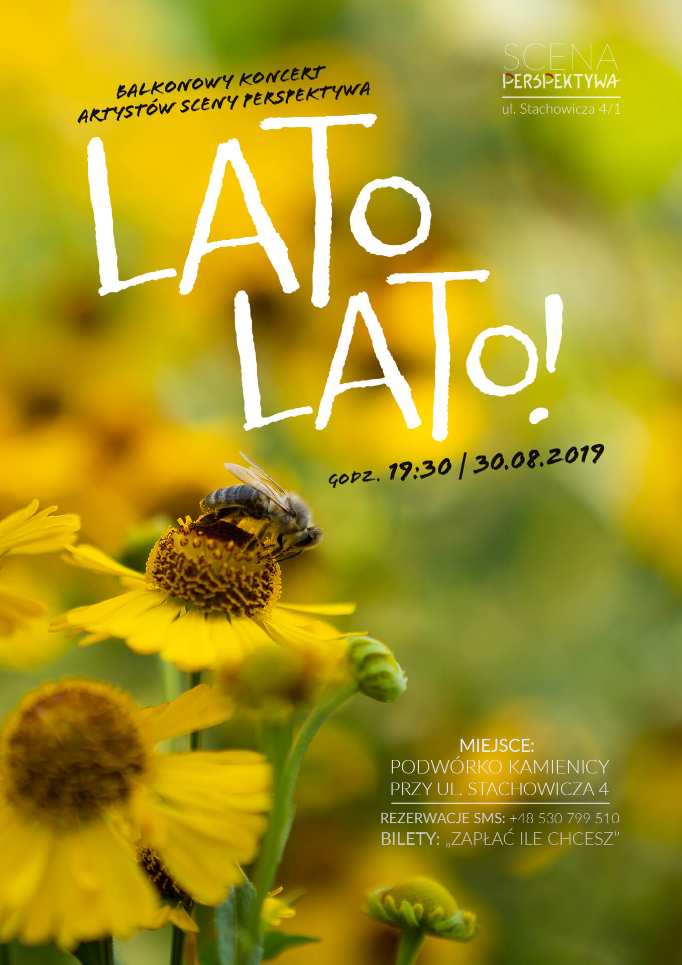 Koncert - Lato lato